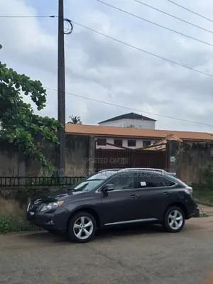 Lexus RX 2010 Gray