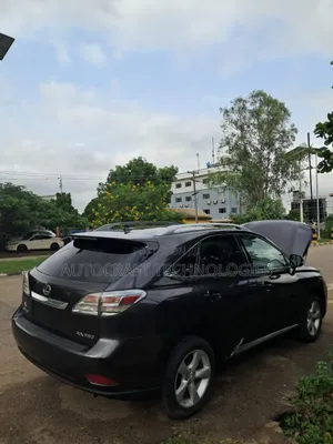 Lexus RX 2010 Gray