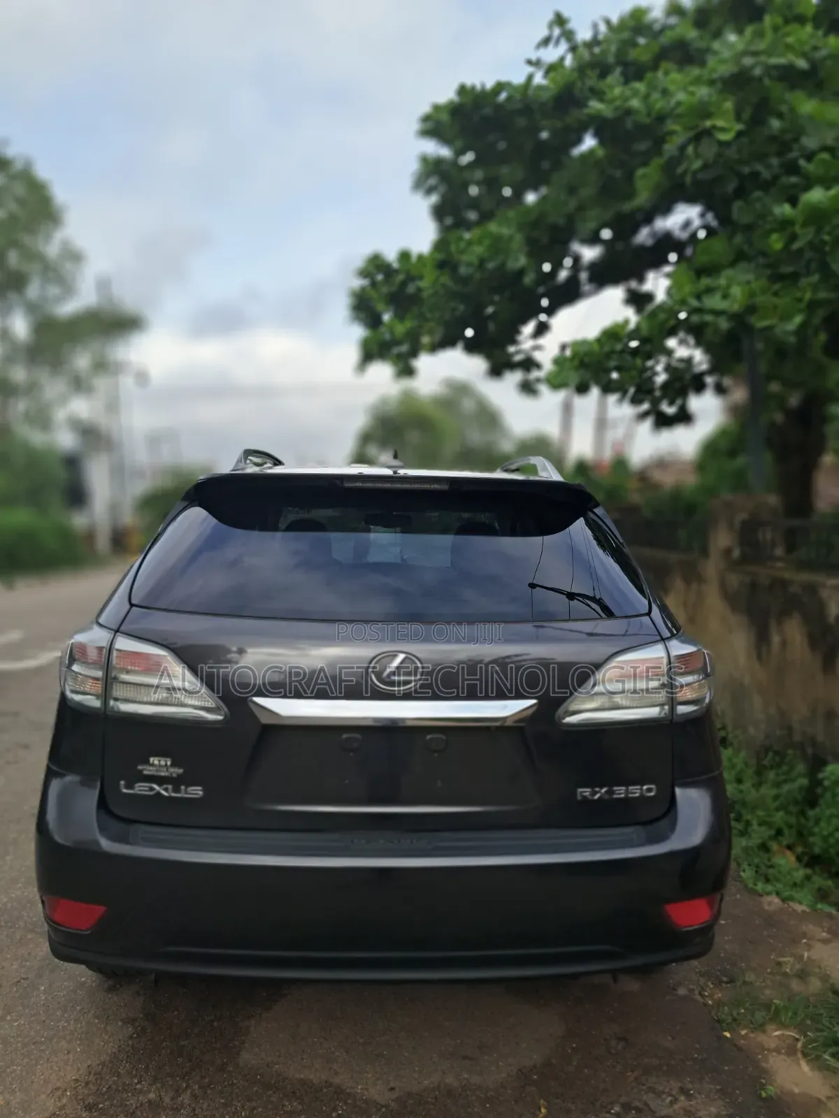 Lexus RX 2010 Gray