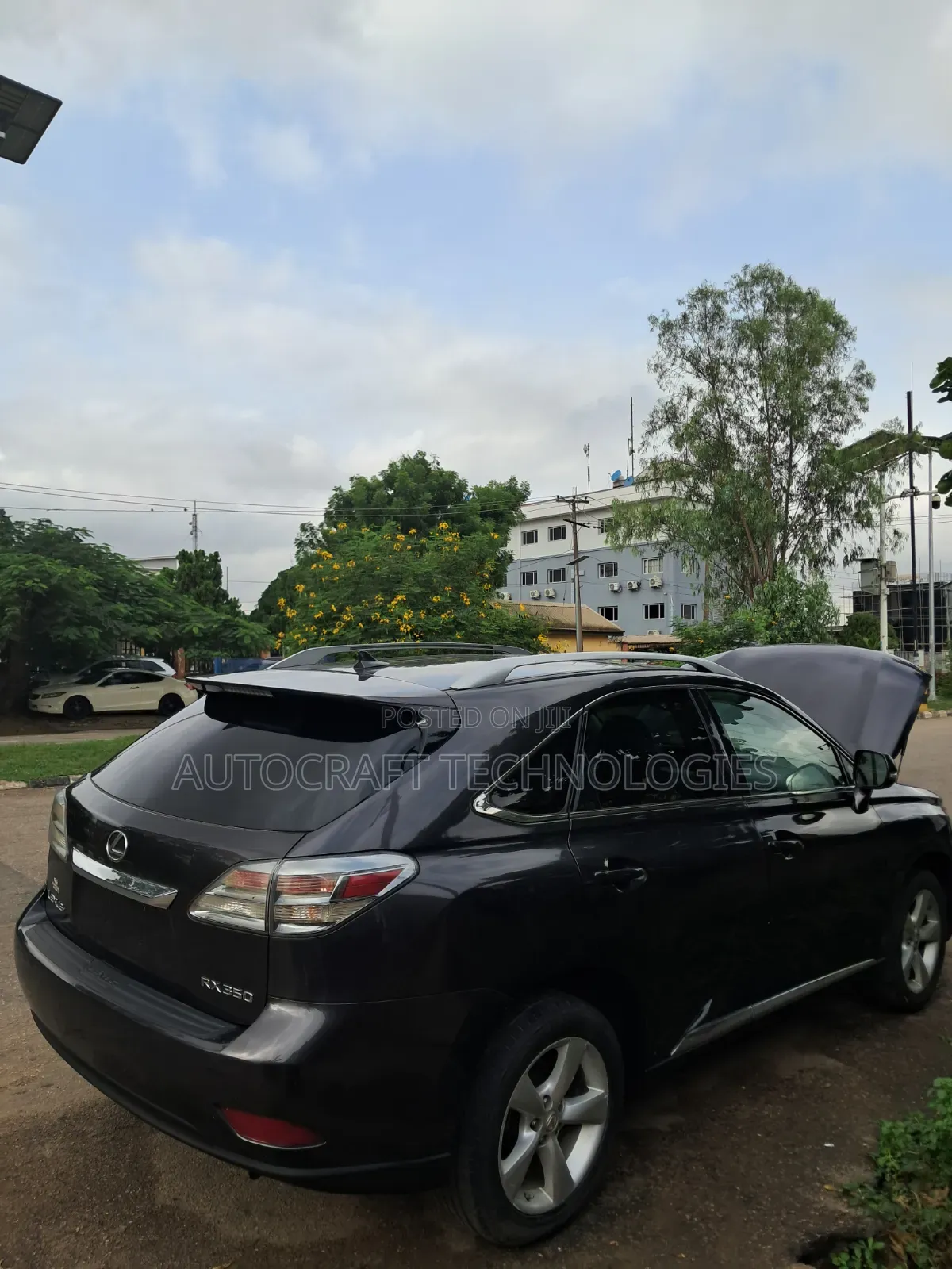 Lexus RX 2010 Gray