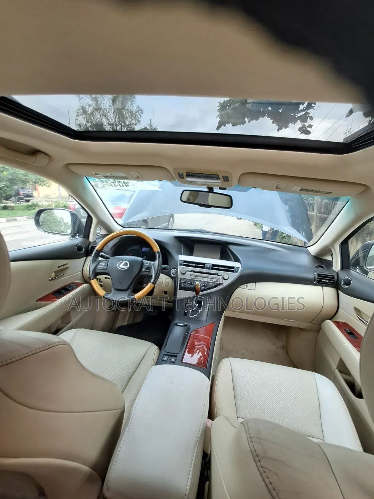 Lexus RX 2010 Gray