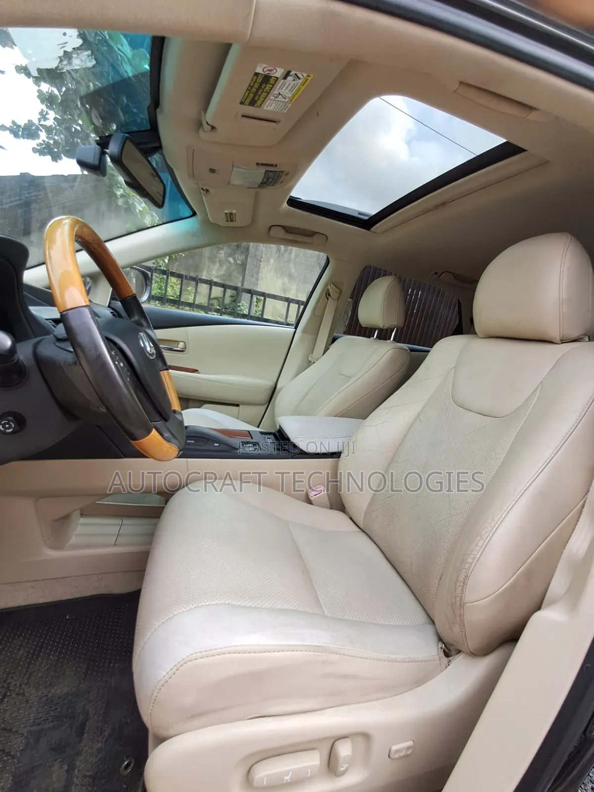 Lexus RX 2010 Gray