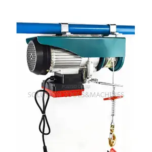 Electric Mini Rope Hoist 500kg PA500