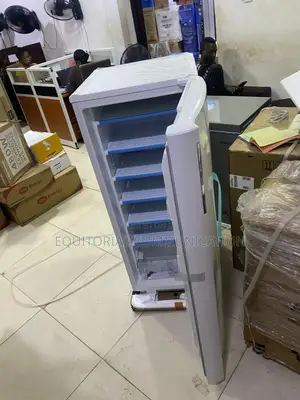 LG GN-304SQBR Spacious 168L Upright Freezer
