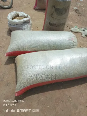 Clean and Dry Raw Groundnut for Sale