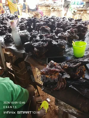 Dried Oven Fish at Affordable Price