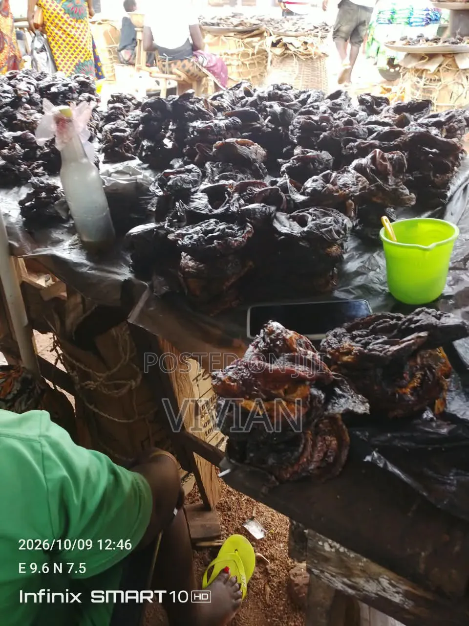 Dried Oven Fish at Affordable Price