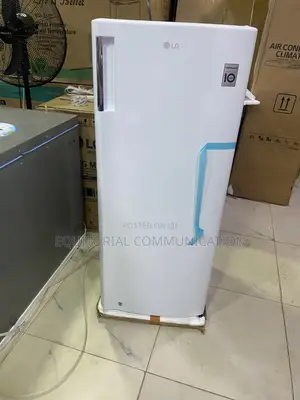 LG GN-304SQBR Vertical Freezer for Frozen Foods