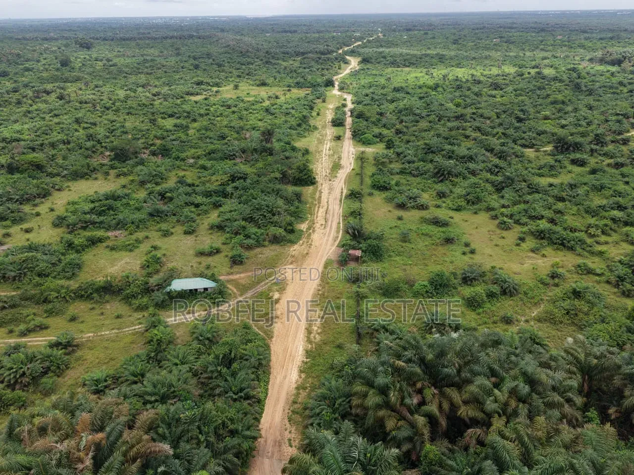 50 Plots Available for Outright Bulk Purchase