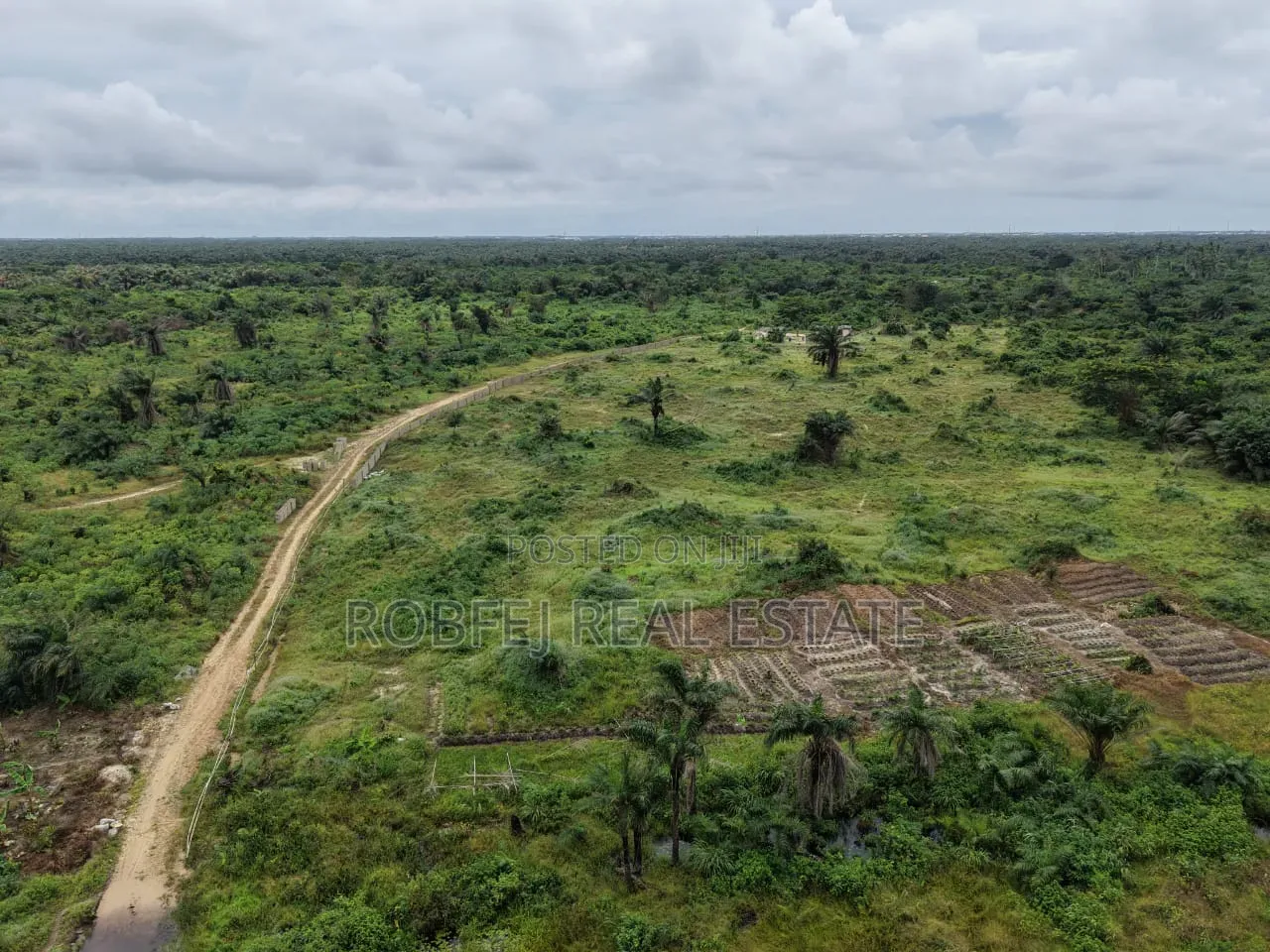 50 Plots Available for Outright Bulk Purchase