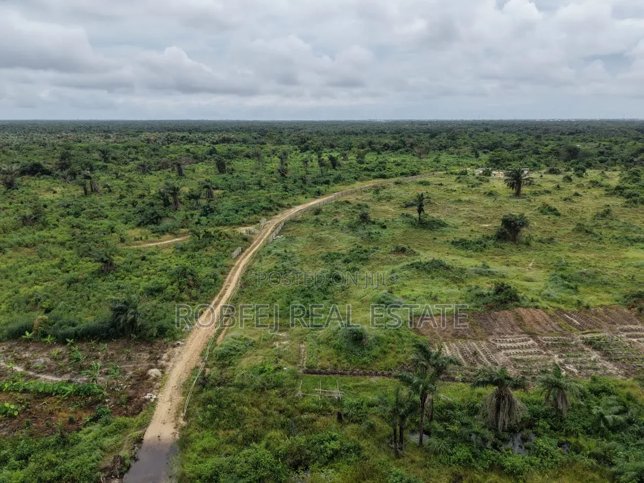 50 Plots Available for Outright Bulk Purchase