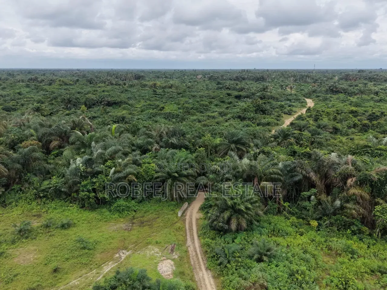 50 Plots Available for Outright Bulk Purchase