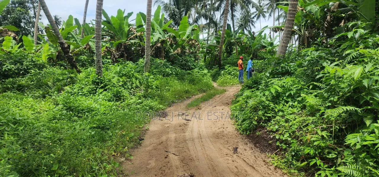50 Plots Available for Outright Bulk Purchase