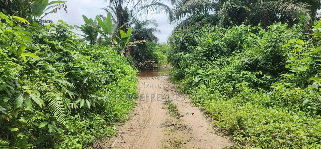 50 Plots Available for Outright Bulk Purchase