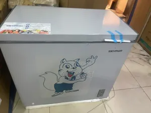 Skyrun 200L Inverter Deep Freezer BD-250A