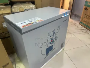 Skyrun BD-250A Large Capacity 200L Freezer