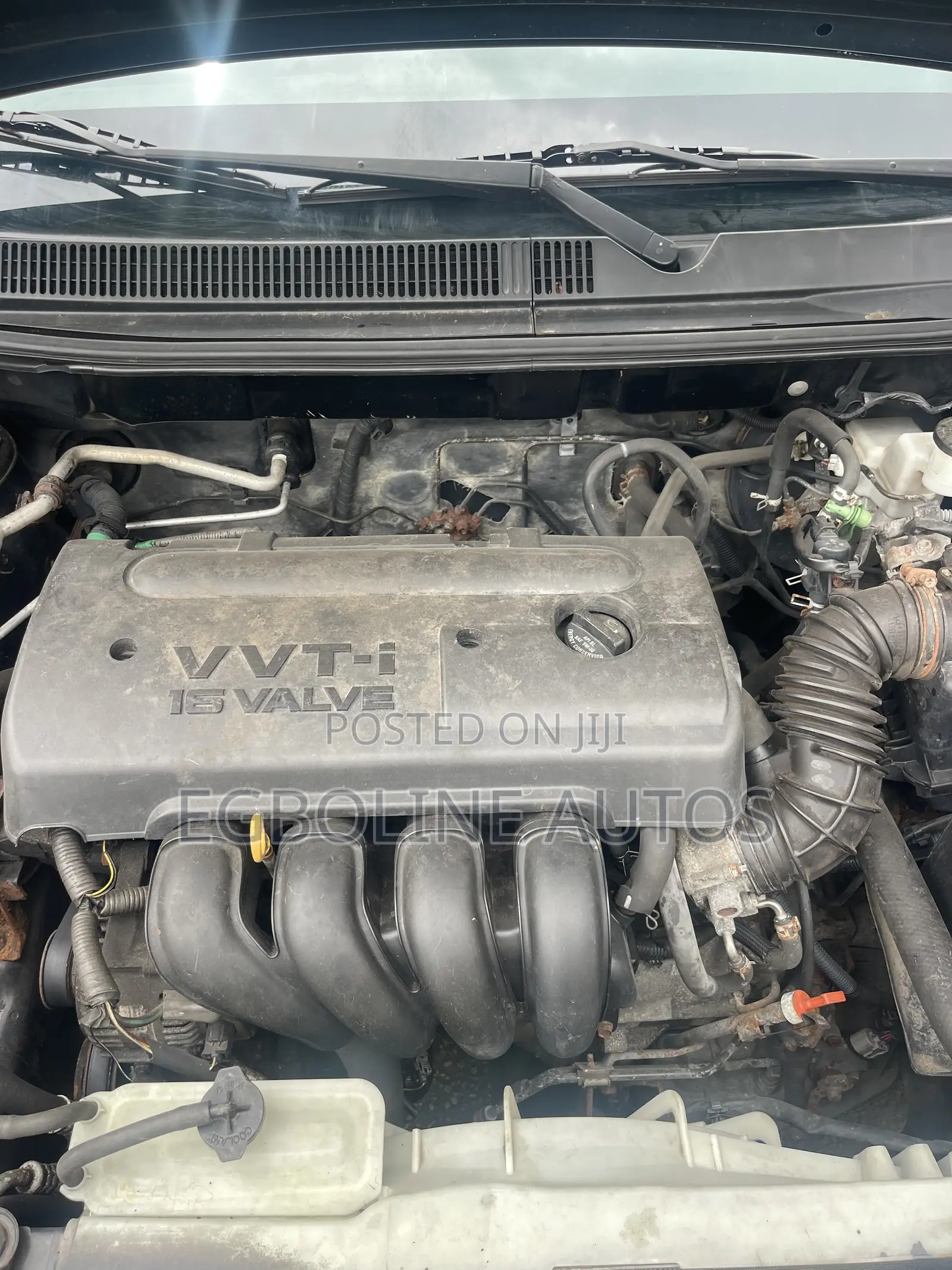 Toyota Matrix 2005 Green