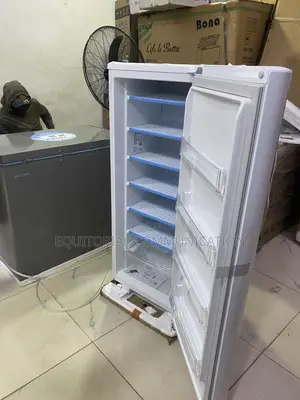 LG GN-304SQBR Freezer for Meat and Fish Storage