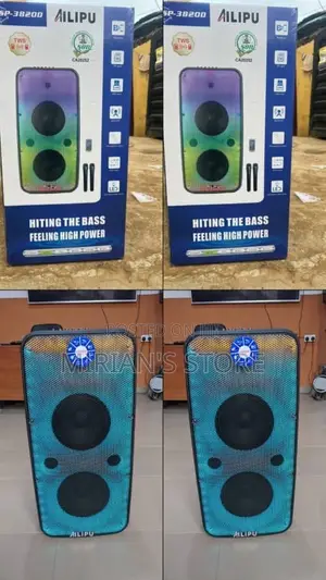 Ailipu SP-3820D Dual Speaker Party Box With 2 Microphones