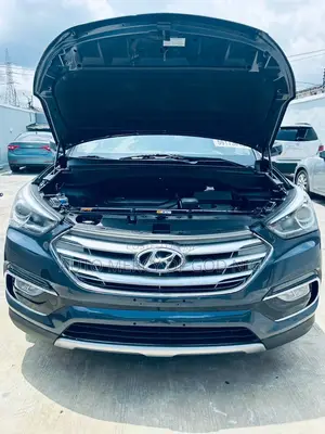 Hyundai Santa Fe SE FWD 2017 Blue