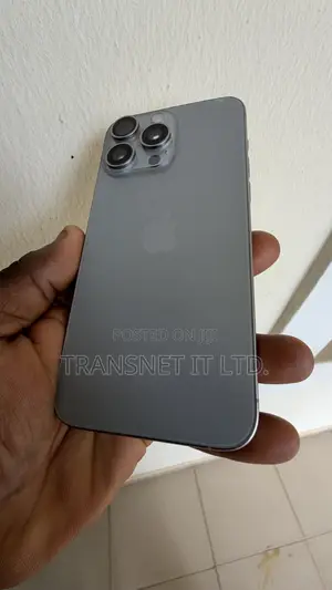 Apple iPhone 15 Pro Max 256 GB Gray