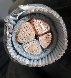 50 Mm 4core Armored