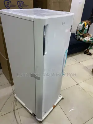 LG 168L Vertical Freezer for Efficient Food Organization GN-304SQBR