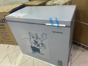 Skyrun 200L Inverter Freezer for Restaurants and Shops
