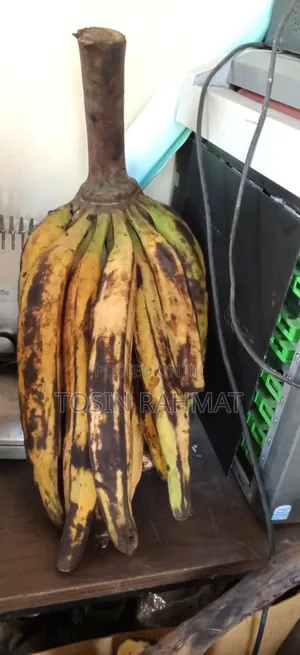 Unripe Plantain and Ripe Plantain