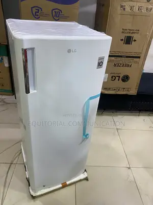 LG GN-304SQBR 168L Everyday Upright Freezer