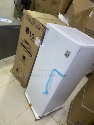 LG GN-304SQBR Practical Vertical Food Freezer 168L