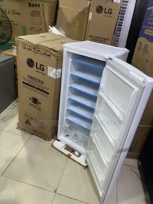 LG GN-304SQBR 168L Frozen Food Storage Appliance