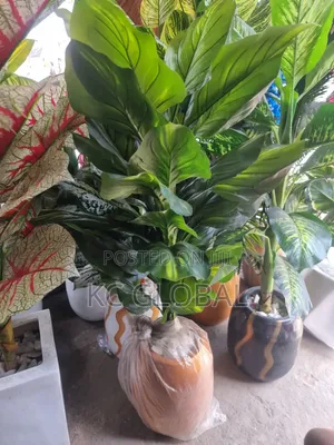 Artificial Flower Plant and Vase Available