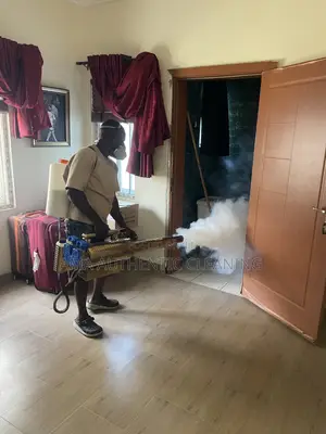 Professional and Reliable Service