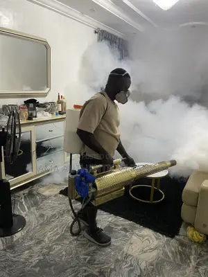 Professional and Reliable Service