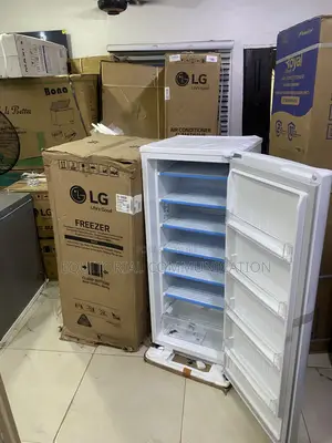 LG GN-304SQBR Vertical Freezer for Household Use 168L
