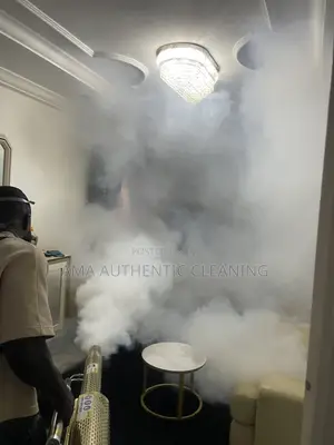 Professional Fumigation Service With Fogging Machine