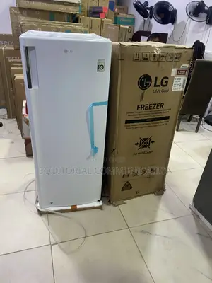 LG GN-304SQBR 168L Freezer for Family Food Storage