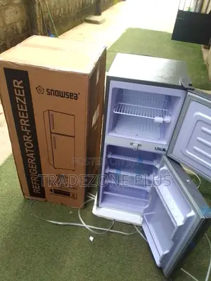 Snowsea 120L Appliance for Food Storage and Freezing