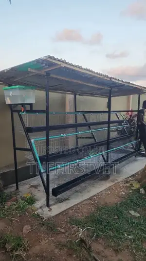 Battery Cage