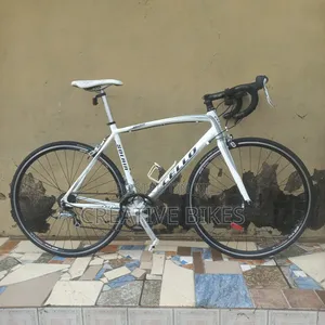 Clean Sharp White Professional 9-Speed Road Bike With Carbon Fork