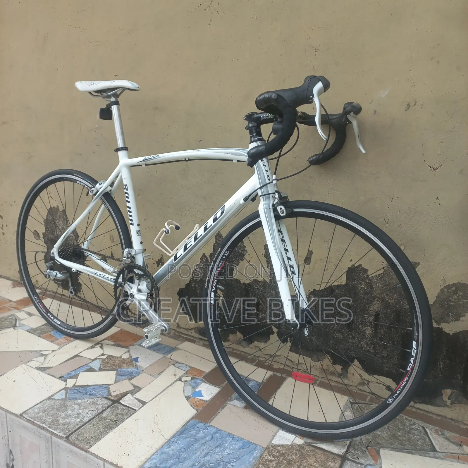 Clean Sharp White Professional 9-Speed Road Bike With Carbon Fork