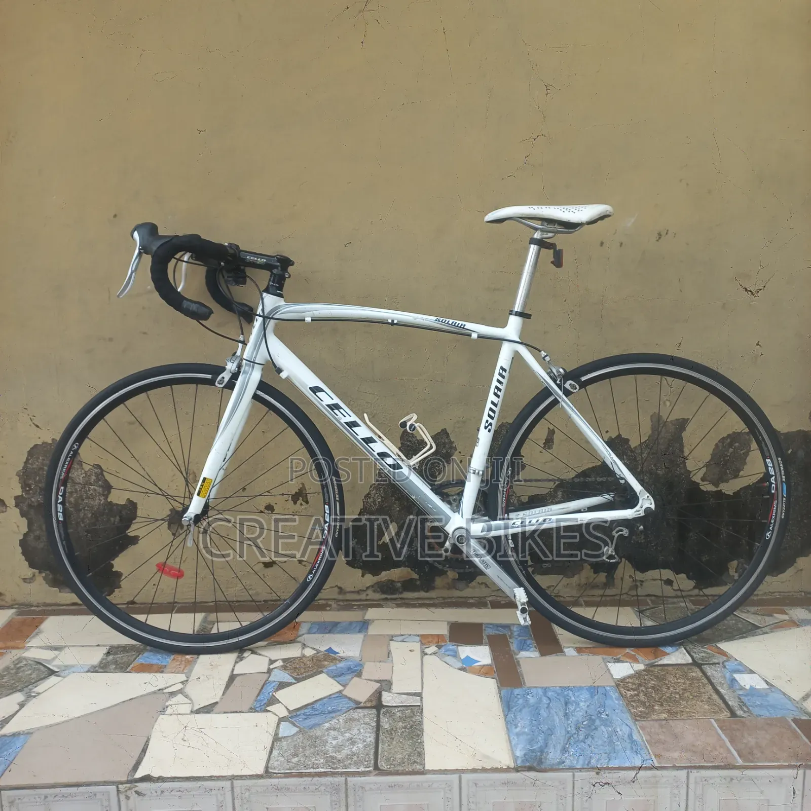 Clean Sharp White Professional 9-Speed Road Bike With Carbon Fork