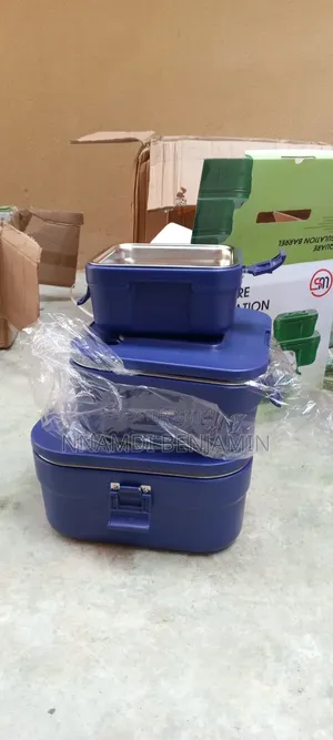 3 in 1 Food Warmer Cooler Hot and Cold