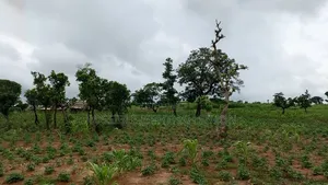 Land for Sale in Dei-Dei, Abuja | the Paragon Estate
