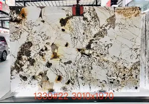Brazilian Patagonia Granite Slabs