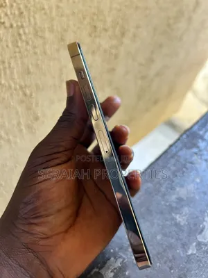 Apple iPhone 13 Pro Max 128 GB White