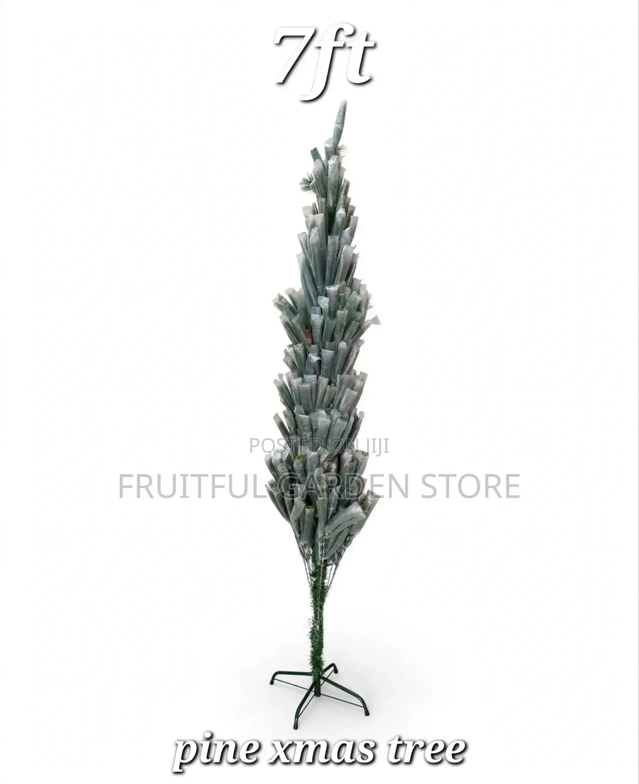 Pine Xmas Tree