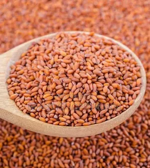 Halim Seed 100g