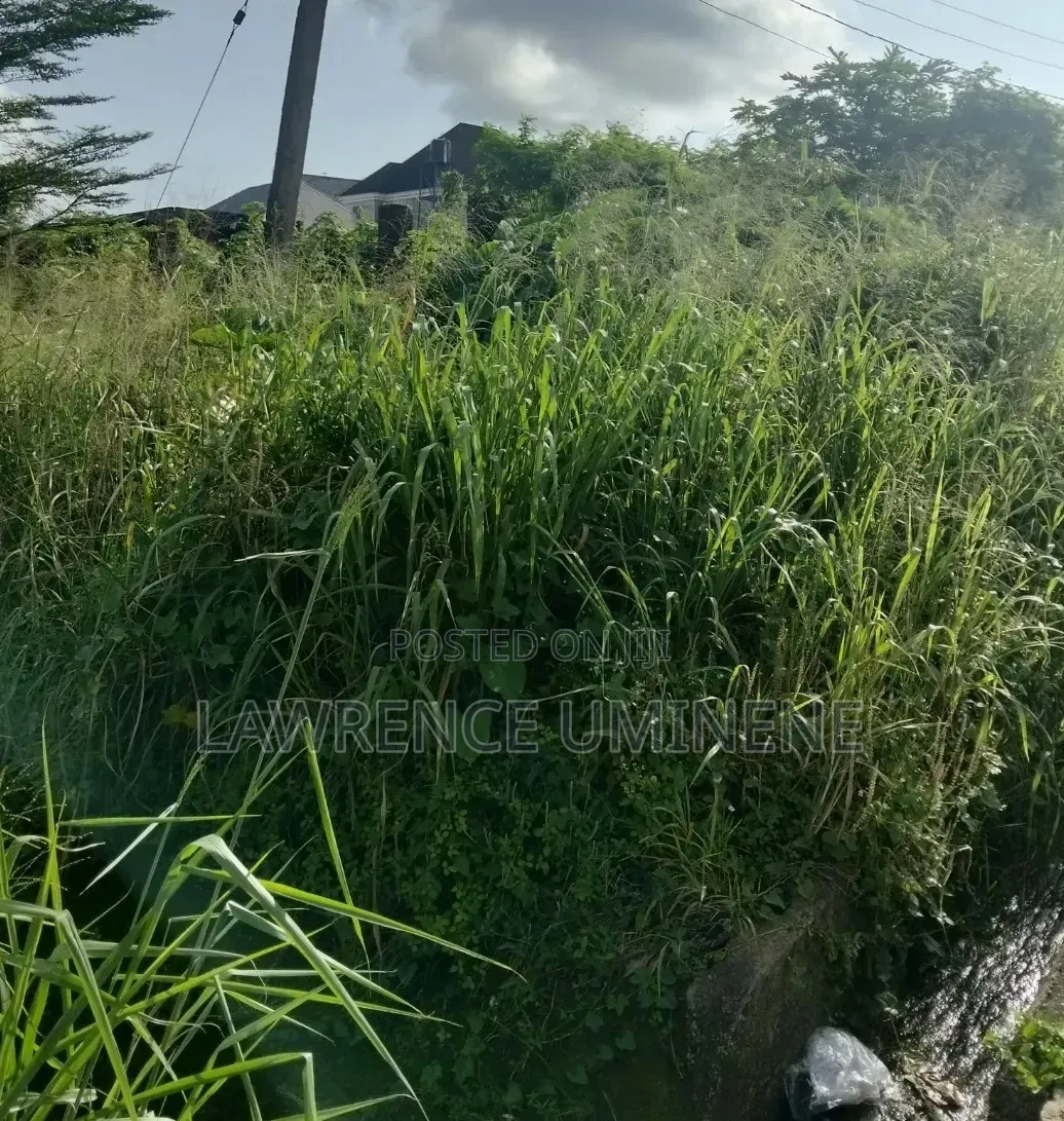 Table Land for Sale